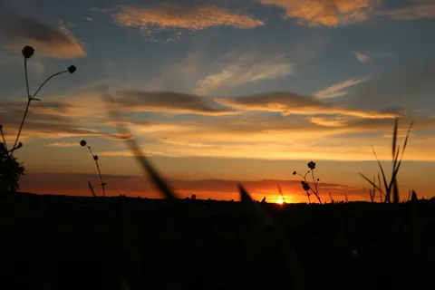 日落,夜空,草地,天空,剪影,云天,自然之美,橙色 日落,夜空,草地,天空,剪影,云天,自然之美,橙色