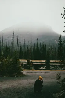 雾山附近有树的人 雾山附近有树的人