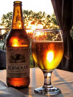 啤酒, 淡啤酒, 冰镇啤酒, 鸬鹚啤酒, 鸬鹚, 瓶, 一杯, 日落