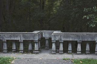 美国，切斯特顿，树木，森林，树叶，秋天，秋天，森林