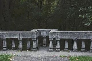 美国，切斯特顿，树木，森林，树叶，秋天，秋天，森林