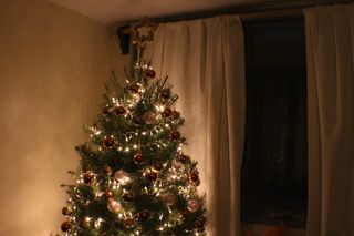 面板窗帘旁的圣诞树