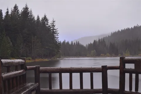 灰色,木质,观景,甲板,旁边,湖泊,四周,松树 灰色,木质,观景,甲板,旁边,湖泊,四周,松树