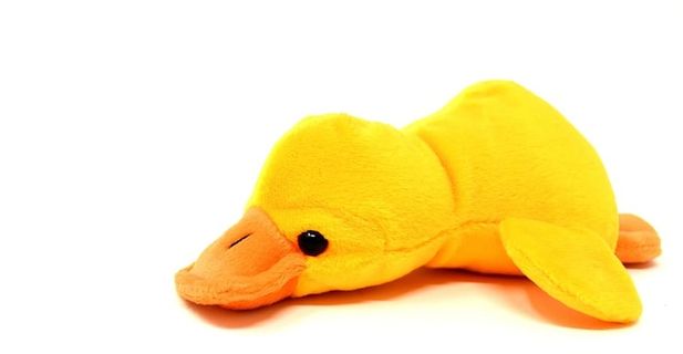 鸭子毛绒玩具，鸭子，软玩具，可爱，有趣，玩具，甜蜜，填充动物