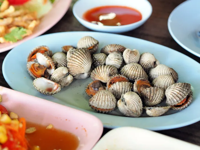 cockle，水煮扇贝，食品，isaan食品，泰国食品，大致，吃，海