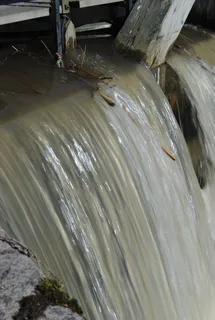 水, 湿, 通道, 苔藓, 自然, 运动, 长时间曝光, 运动模糊