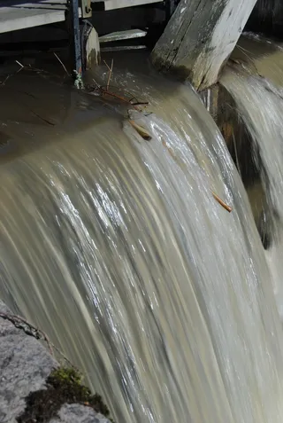 水, 湿, 通道, 苔藓, 自然, 运动, 长时间曝光, 运动模糊