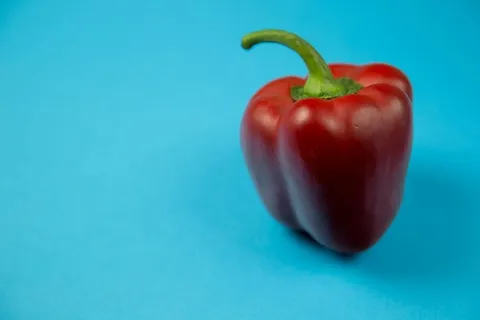 蓝底红辣椒 蓝底红辣椒