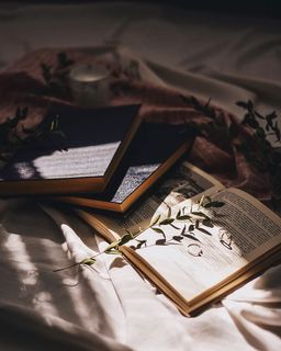 书，文本，日记，桌子，家具，木头，胶合板，书法