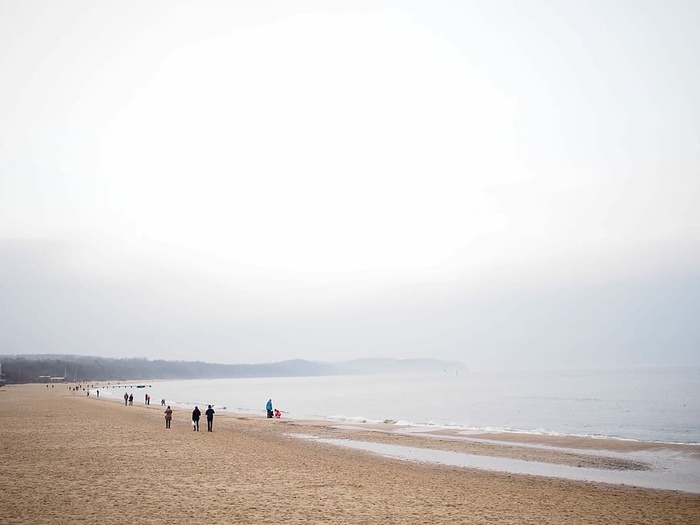 海滩，棕色，灰色，沙子，海，海岸，白色，人