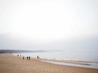 海滩，棕色，灰色，沙子，海，海岸，白色，人