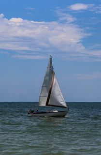 美国，那不勒斯，帆船，水，海洋，帆，白色，美国