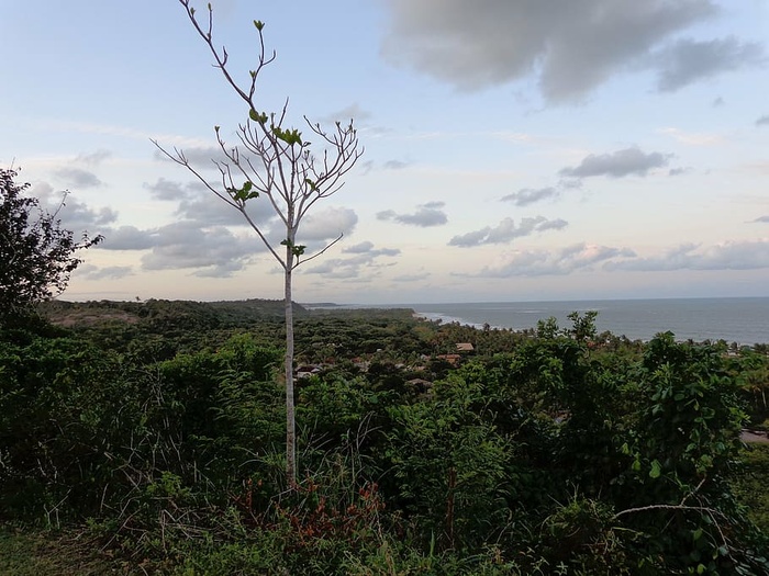 trancoso、海滩、三月、旅行、小屋、天空、自然之美、植物