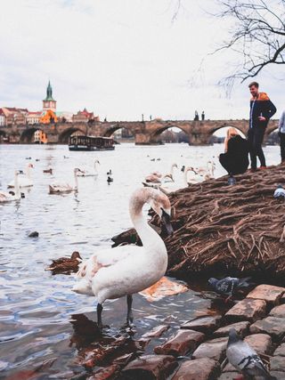 捷克，布拉格，透视，建筑，建筑，结构，最小，城市景观