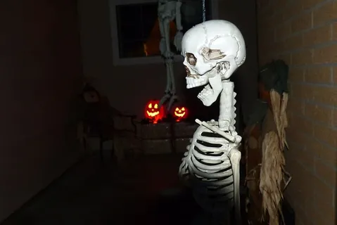 白色,骷髅装饰,墙壁,骷髅,万圣节,幽灵,假日,骷髅 白色,骷髅装饰,墙壁,骷髅,万圣节,幽灵,假日,骷髅