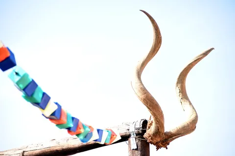 南非，riemvasmaak，方块，立方体，正方形，鹿角，库杜，羚羊