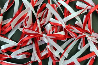 白红，蝴蝶结，11月11日，丝带，民族色彩，爱国主义，祖国，独立日