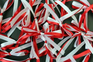 白红，蝴蝶结，11月11日，丝带，民族色彩，爱国主义，祖国，独立日