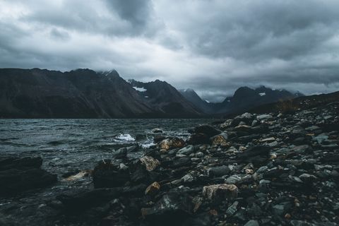 自然、户外、山地、山脉、爬行动物、动物、海龟、海洋生物