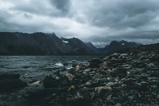 自然、户外、山地、山脉、爬行动物、动物、海龟、海洋生物