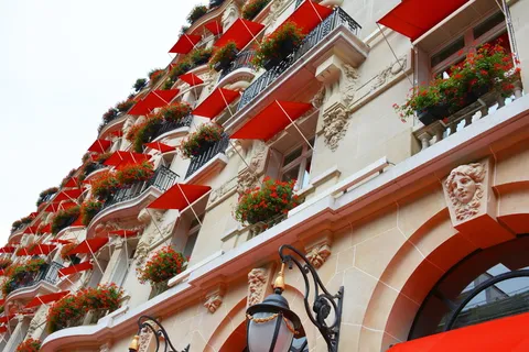 旅游、建筑、城市、街道、旅游、户外、花卉、欧洲