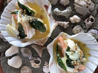 印度，博格韦，博格韦路，罗勒，柠檬，扇贝，贝壳，沙子