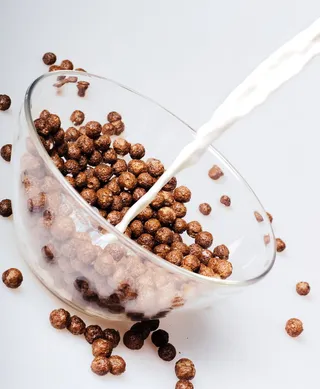 巧克力、球、牛奶、特写、可可、早餐、饼干、烹饪