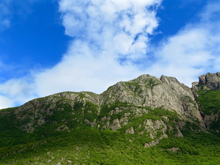 山、云、自然、景观、户外、绿色、纽芬兰、风景