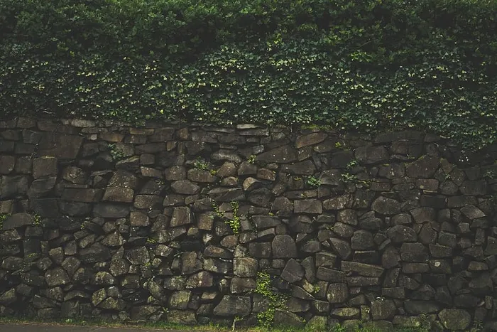 藤蔓植物石墙