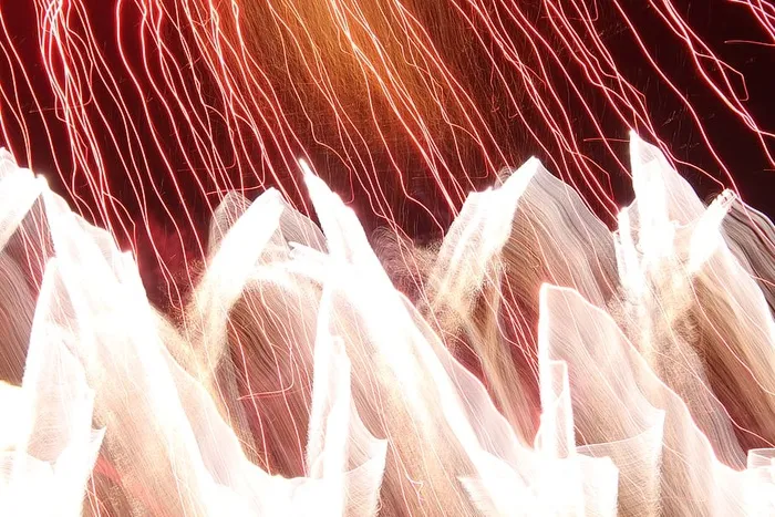 图案，户外，自然，装饰，分形，动物，哺乳动物，马