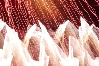 图案，户外，自然，装饰，分形，动物，哺乳动物，马