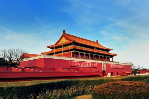黑色，光秃秃的，树木，红色，寺庙，北京，故宫博物院，*广场