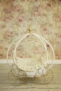 照片，白色，马车，花卉，垫子，婴儿，公主，新生儿