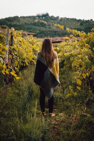 意大利，via di lamole，透视，女人，女孩，美女，树叶，葡萄酒