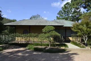 日本花园、树木、德克萨斯州休斯顿、花园、东方、亚洲、日本、日本