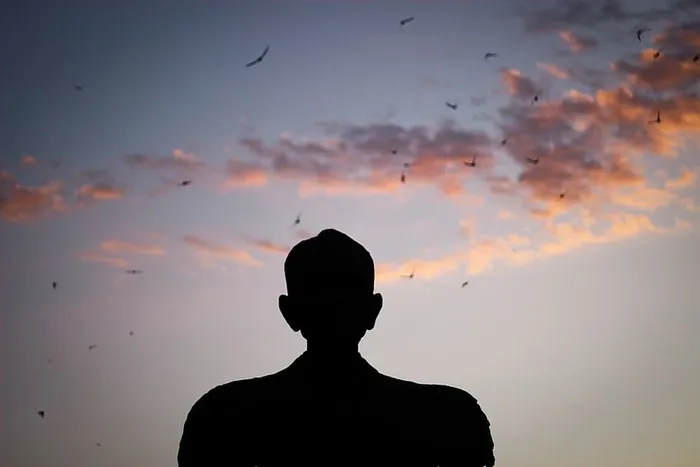 一个男人的剪影，他看着鸟儿在天空中滑行