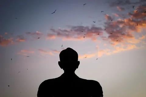 一个男人的剪影,他看着鸟儿在天空中滑行 一个男人的剪影,他看着鸟儿在天空中滑行