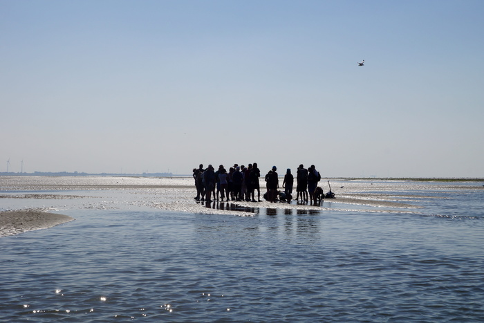 瓦登海, 瓦特徒步旅行, 潮间带, 泥滩徒步旅行, 低潮, 北海, 沙瓦特, 瓦特地区