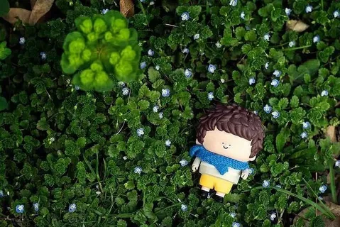 男孩,草,迷你,玩具,孩子,植物,绿色,生长 男孩,草,迷你,玩具,孩子,植物,绿色,生长