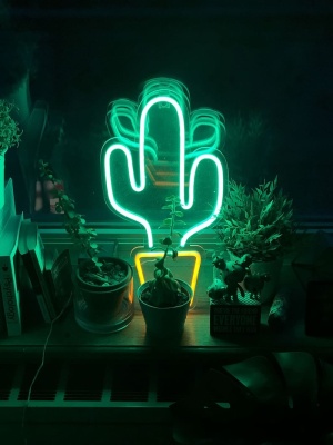 桌上的LED仙人掌霓虹灯