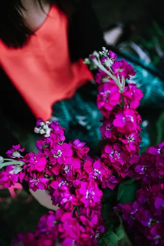 五彩缤纷的奇花异草