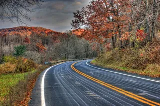 黑色，混凝土，道路，树木，白天，混凝土道路，白天，时间