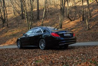 蓝色、轿车、停车、路边、被包围、树木、汽车、秋天