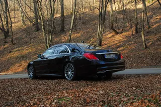 蓝色、轿车、停车、路边、被包围、树木、汽车、秋天