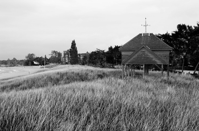 加拿大，戈德里奇，小屋，pergula，沙子，长草，风，秋天