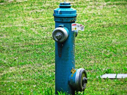 消防栓、水、水龙头、装置、水厂、饮用水、草、植物