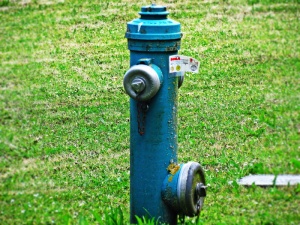 消防栓、水、水龙头、装置、水厂、饮用水、草、植物