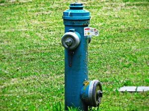 消防栓、水、水龙头、装置、水厂、饮用水、草、植物