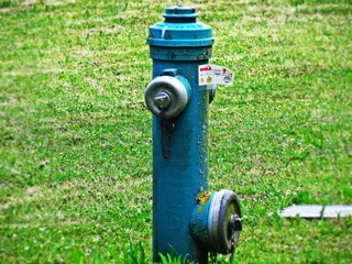 消防栓、水、水龙头、装置、水厂、饮用水、草、植物