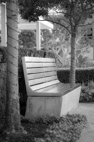 长椅，树木，树篱，户外，木材，座椅，树木，自然